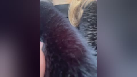 yuliyalasker free recording from 2025-12-29 06:40:00