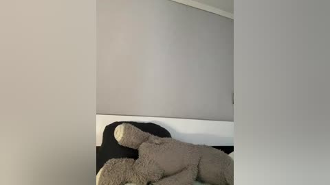 julli_az1 free recording from 2025-12-30 02:08:00