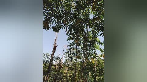 roomexotic11 free recording from 2025-12-30 02:08:00