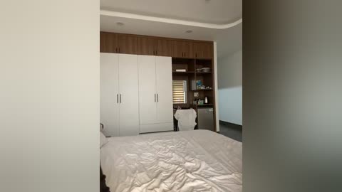 twins666 free recording from 2025-12-30 02:08:00