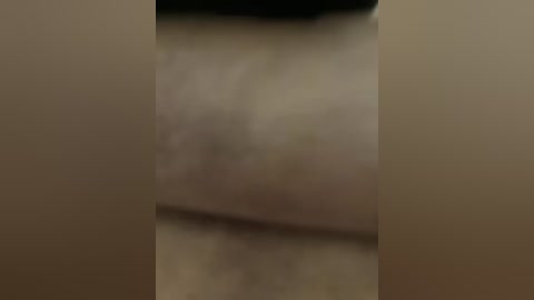 ernieflossy free recording from 2025-12-31 00:21:00