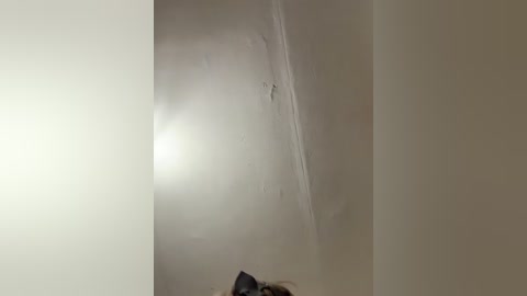 ernieflossy free recording from 2025-12-31 00:21:00