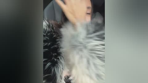 linahelen free recording from 2025-12-31 01:47:00