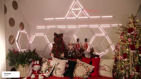 taanni free recording from 2025-12-31 00:12:00