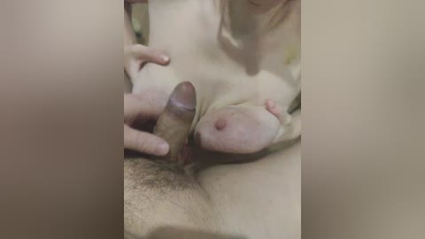 waname free recording from 2025-12-31 00:21:00