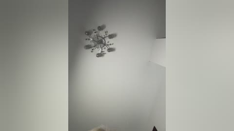 x_nastya_x free recording from 2025-12-31 01:54:00