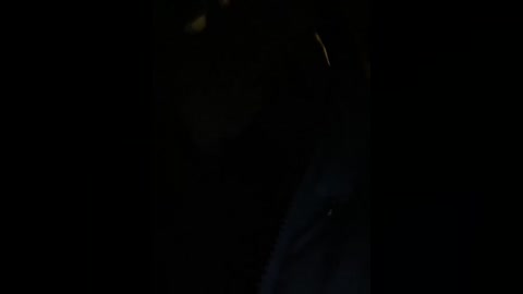 alissalexx free recording from 2026-01-01 01:56:00