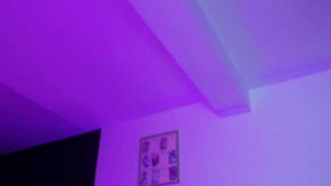 emilyxjames free recording from 2026-01-01 01:56:00