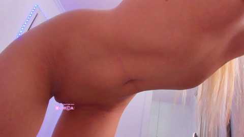 meow free recording from 2026-01-01 01:56:00