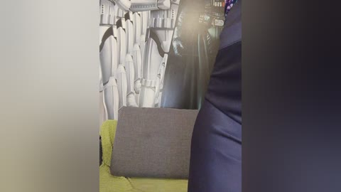 Video of an interior, featuring a gray sofa with a green cushion, Star Wars-themed wall art, and a person in a dark blue suit with a purple tie, partially visible, standing to the right.