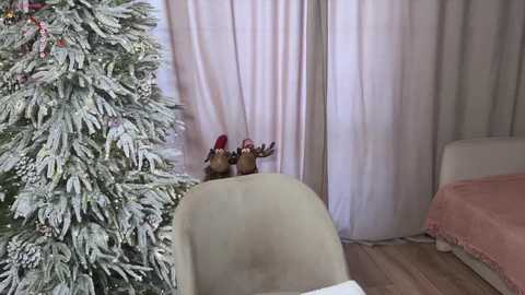 _molly_ free recording from 2026-01-02 02:20:00