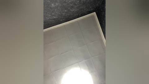 adamandeve free recording from 2026-01-02 00:00:00