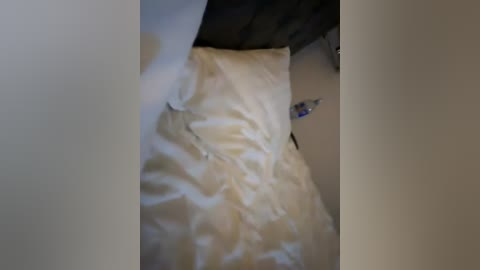 elegancycouple free recording from 2026-01-02 00:24:00