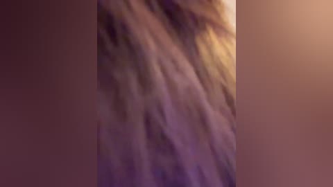 kissmec free recording from 2026-01-02 01:22:00