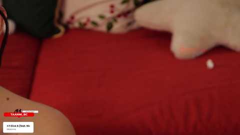 taanni free recording from 2026-01-02 00:17:00