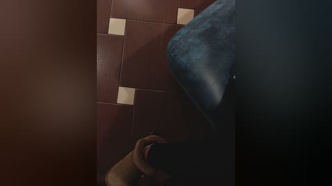 A dimly lit video shows a person lying on a tiled floor with a dog's head visible, partially obscured by shadows. The tiles have a checkerboard pattern in beige and dark brown.
