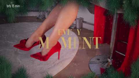 taanni free recording from 2026-01-03 00:02:00