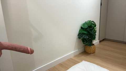 kellyyberyy free recording from 2026-01-05 00:39:00