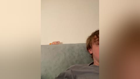 linatwins free recording from 