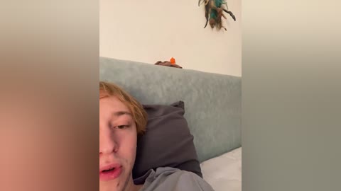 linatwins free recording from 