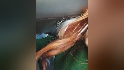 alex80_201 free recording from 2026-01-05 00:39:00