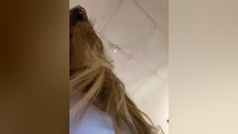 babieswink free recording from 2026-01-07 01:16:00