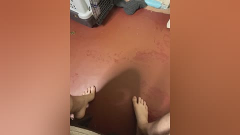 fregidaaa free recording from 2026-01-06 00:48:00