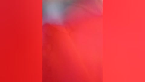 johnyfenomet2 free recording from 2026-01-05 00:06:00