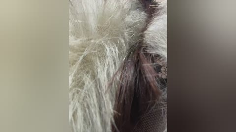 linahelen free recording from 2026-01-05 00:39:00