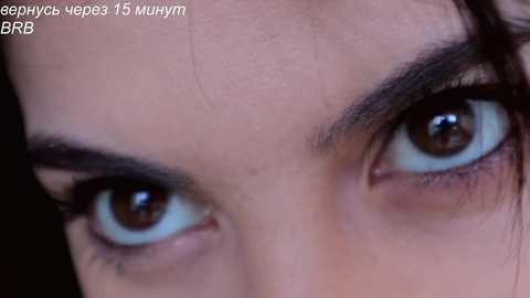 _catt_ free recording from 2026-01-06 00:14:00