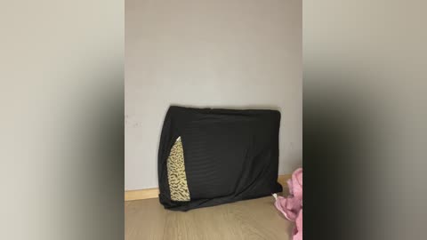 demonmarrry free recording from 2026-01-06 00:48:00