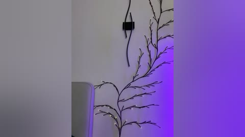 dream_love69 free recording from 2026-01-08 00:21:00