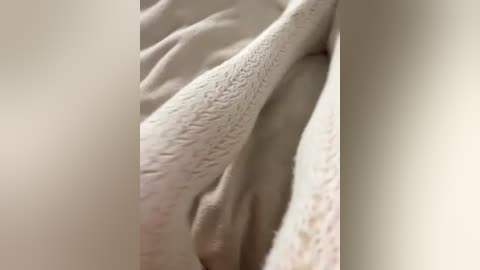 evaalex12 free recording from 2026-01-08 00:21:00