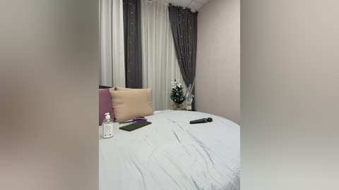 shamelesss free recording from 2026-01-06 00:14:00