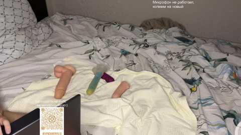 vandamoralis1 free recording from 2026-01-07 01:16:00