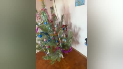 dyrilkakartonnaya free recording from 2026-01-08 00:36:00