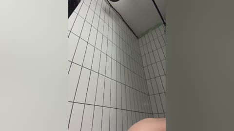 milaya8 free recording from 2026-01-08 00:04:00