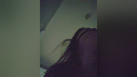 missreborn free recording from 2026-01-08 00:21:00