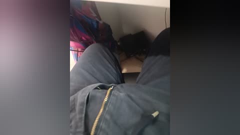 pararf free recording from 2026-01-07 00:21:00