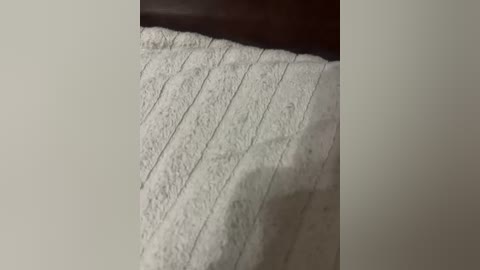 skripach free recording from 2026-01-08 00:04:00