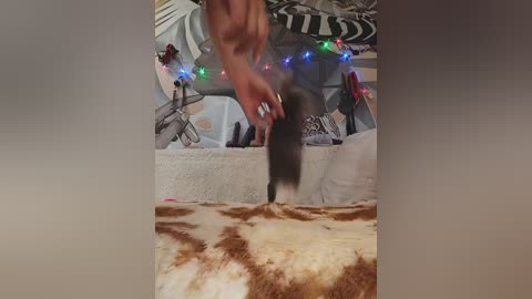 dianaahtender free recording from 2026-01-08 00:21:00