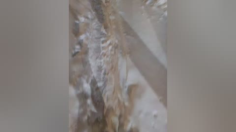 hotpepper_sweetpepper free recording from 2026-01-08 00:04:00