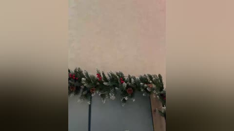 kissmec free recording from 2026-01-08 02:10:00