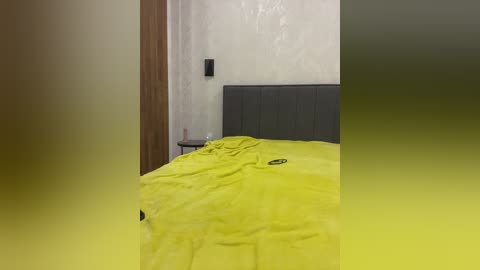 pararam free recording from 2026-01-08 00:04:00