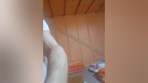 alexalex24 free recording from 2026-01-09 00:28:00