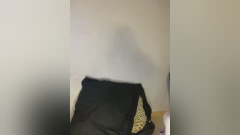 demonmarrry free recording from 2026-01-09 00:49:00