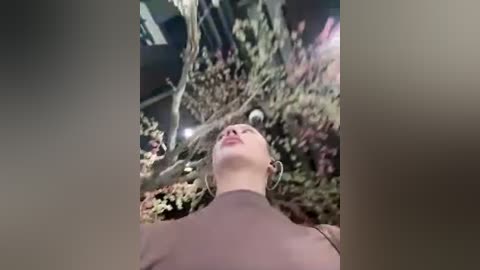 linnea free recording from 2026-01-09 01:24:00