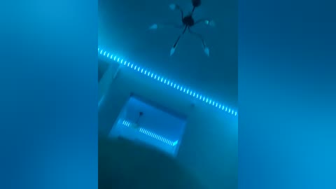 pinkrabbittt free recording from 2026-01-09 03:35:00