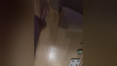 yugovi free recording from 2026-01-09 01:24:00