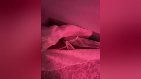 vip17coupledream free recording from 2026-01-10 01:14:00